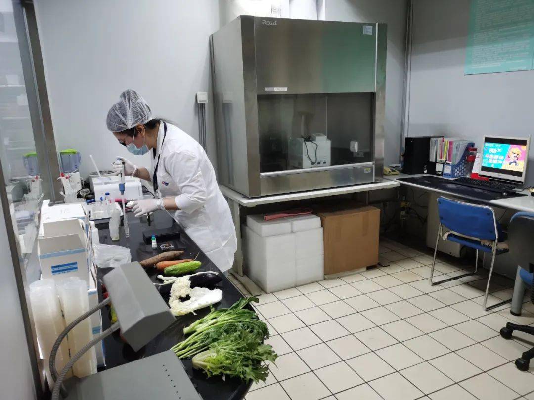 会东食品检测实验室装修方案